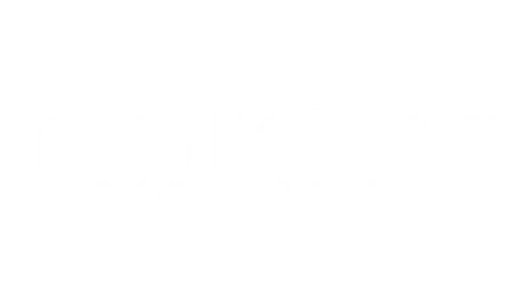Marketeer - Digital Marketing Agency